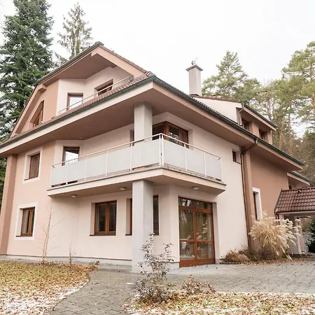 Guľka Kováčová