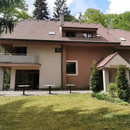 Guľka Kováčová Kovacova